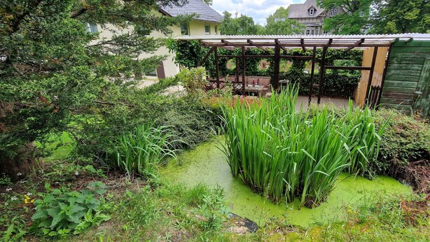 A garden with a wooden pergola, a green shed, and a pond with tall grasses. - Haus am Wald Ruhig Gelegene Ferienwohnung mit Großem Garten (Bad Tabarz)