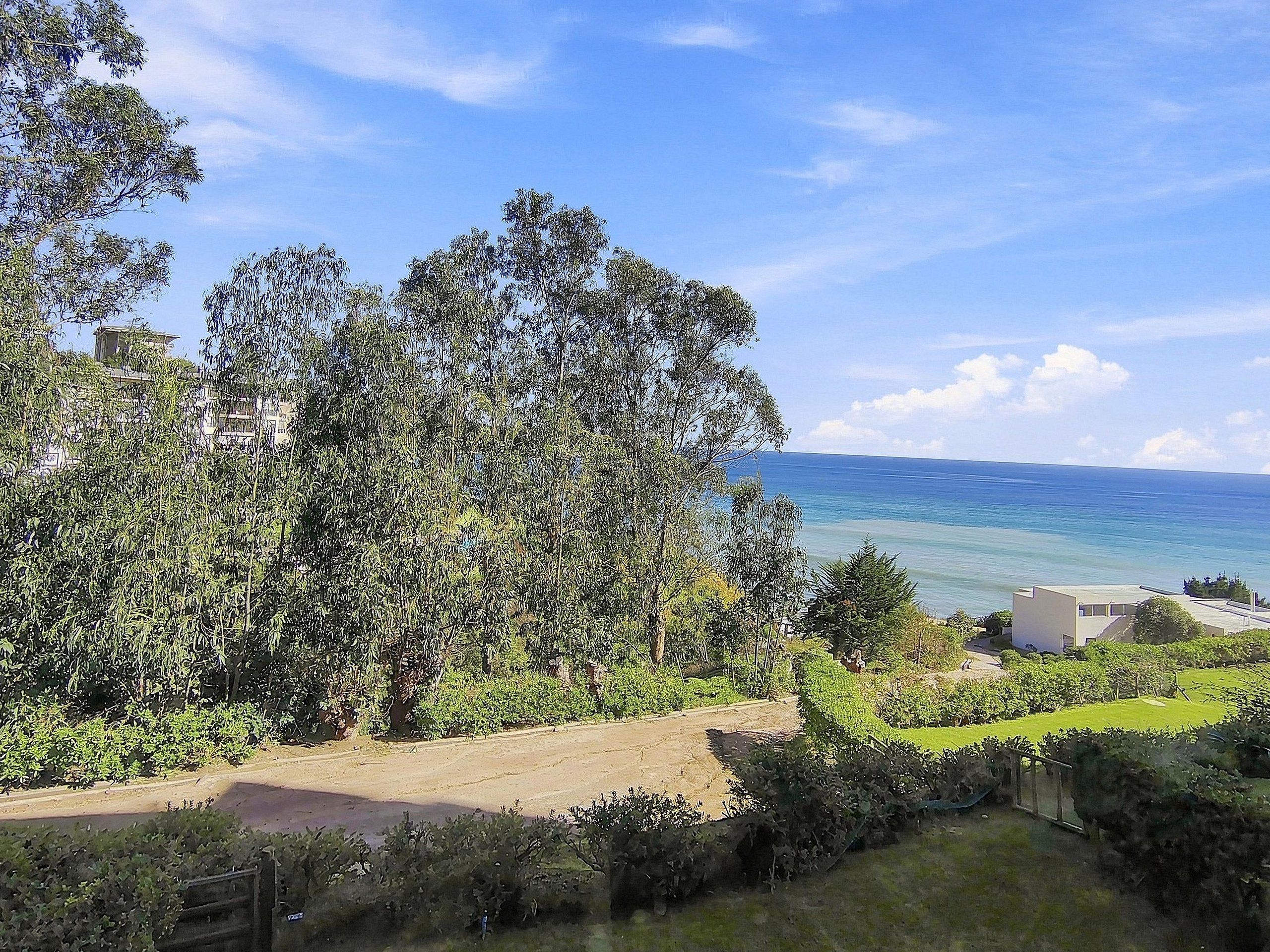 A coastal landscape with dense foliage, a clear sky, and a view of the sea.
