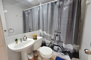 Apartment | Bathroom | Shower, soap, toilet paper