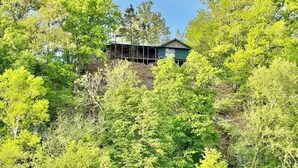 Ein Haus, umgeben von dichtem Grün.