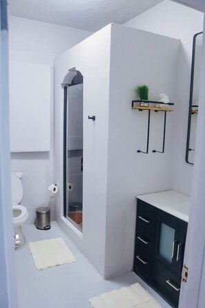 Hair dryer, towels, soap, shampoo