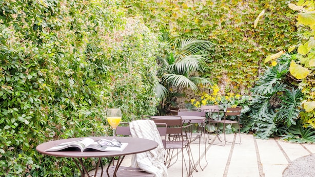 Un patio con mesas y sillas redondas, rodeado de abundante vegetación y una pared cubierta de hiedra.