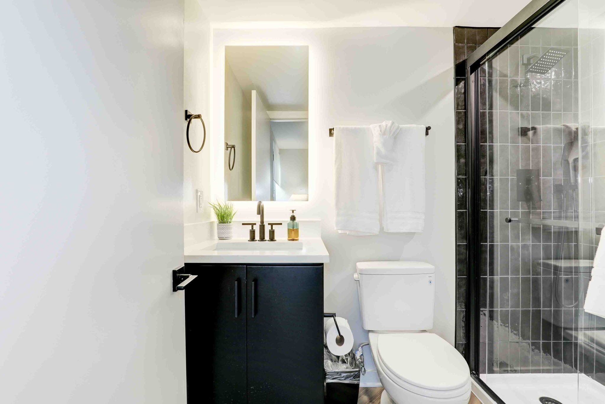 Business Apartment | Bathroom | Free toiletries, hair dryer, towels, soap