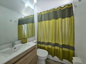 Ducha, secador de pelo, toallas, papel higiénico