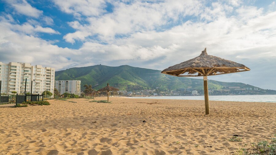 Oceana Suites Papudo