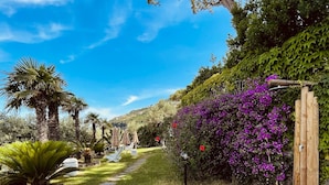 Garden - Villa To Ischia With Love (Ischia)