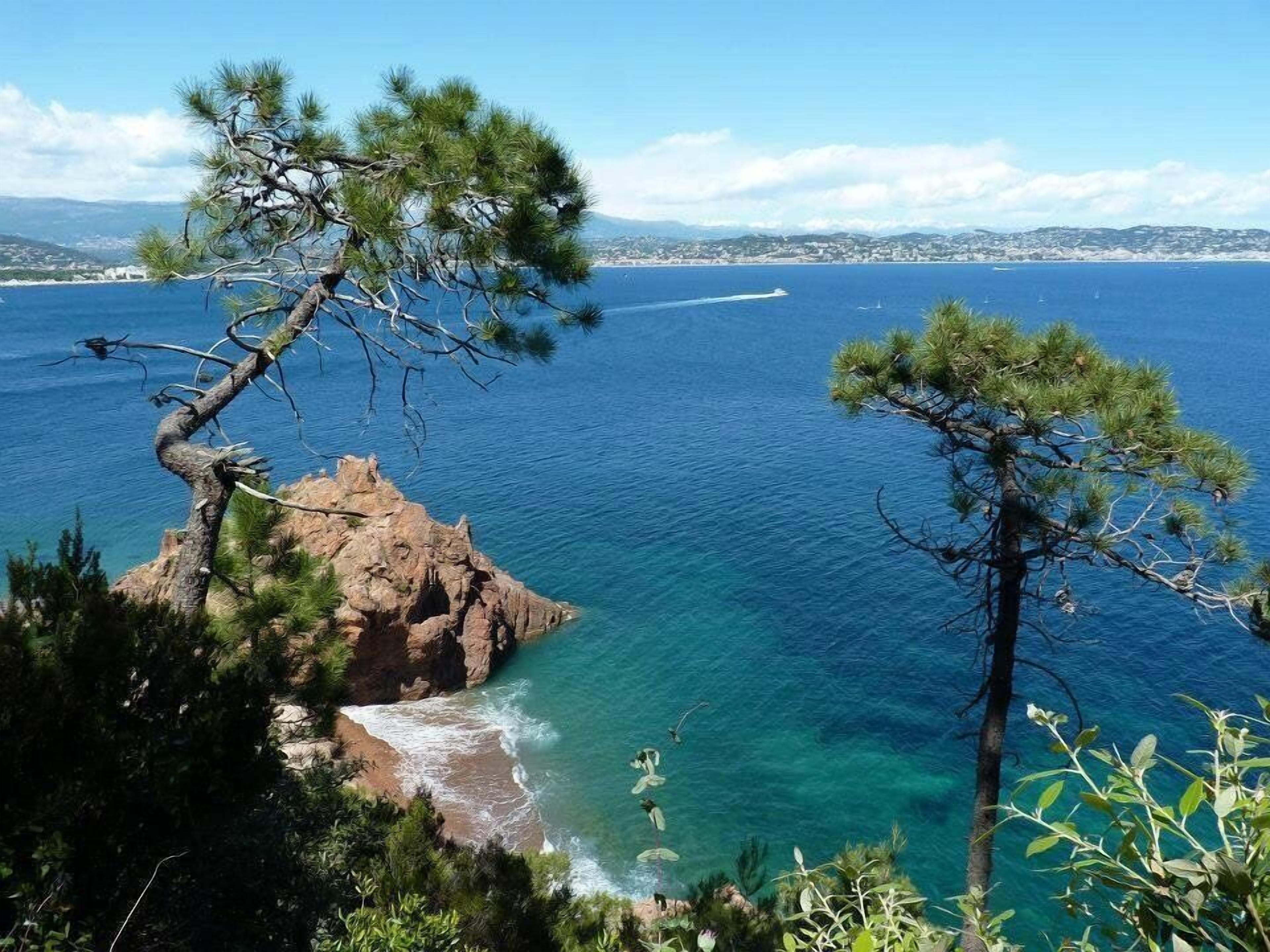 Un paysage côtier caractérisé par une eau d’un bleu limpide, des affleurements rocheux et des pins.