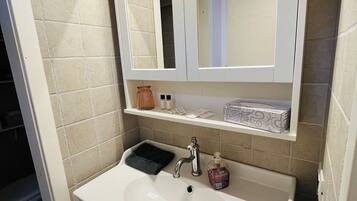 Shower, hair dryer, bidet, towels