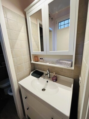 Shower, hair dryer, bidet, towels