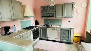 Fridge, oven, stovetop, dishwasher