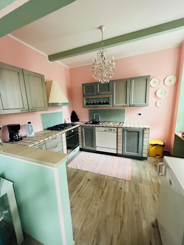 Fridge, oven, stovetop, dishwasher