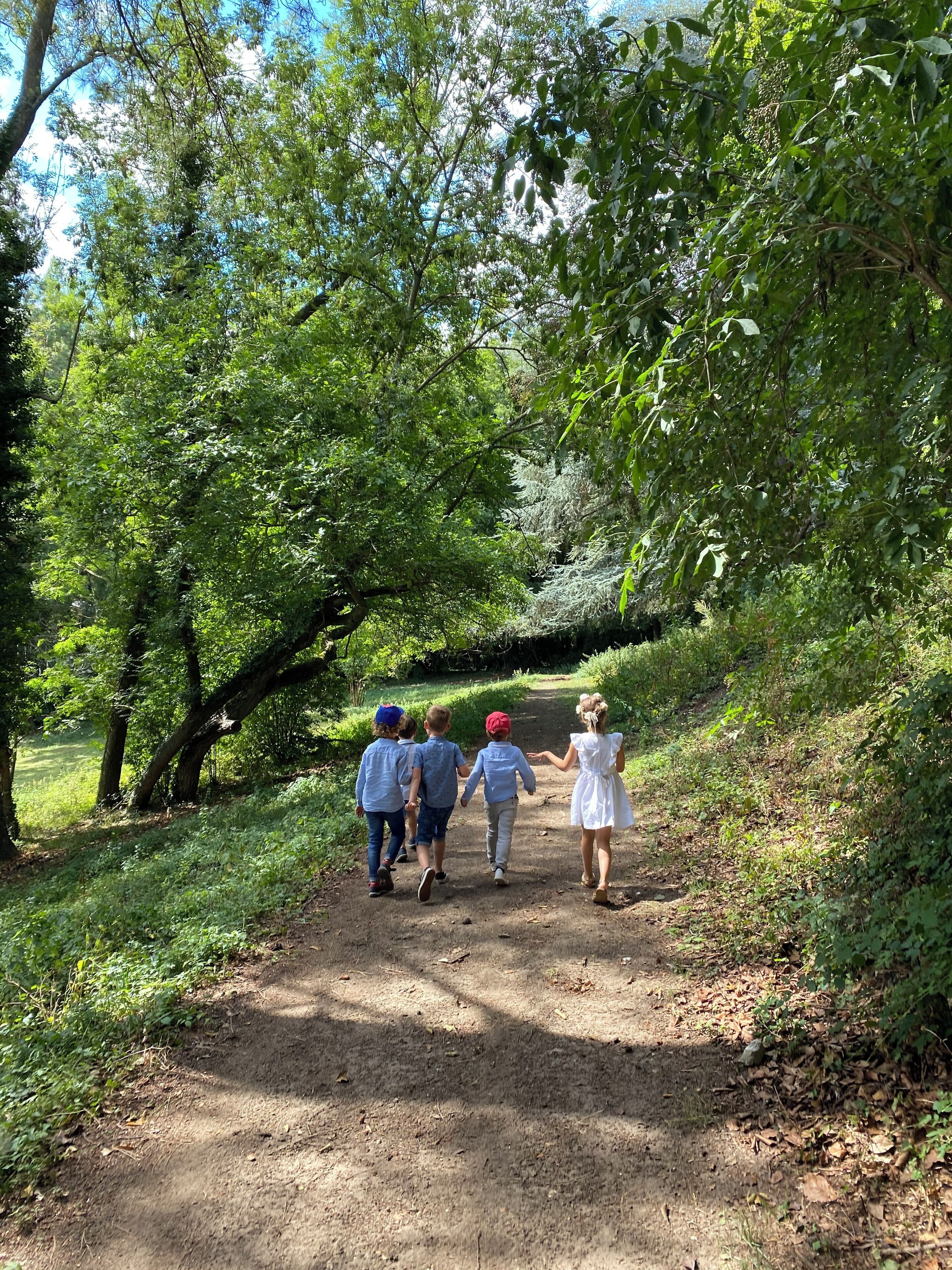 Un sendero de tierra rodeado de vegetación exuberante y árboles.
