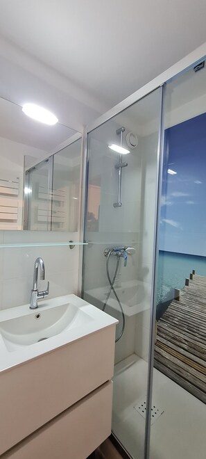 Shower, hair dryer, soap, toilet paper