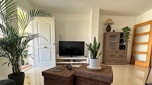 A living room with a TV, wicker furniture, and potted plants.