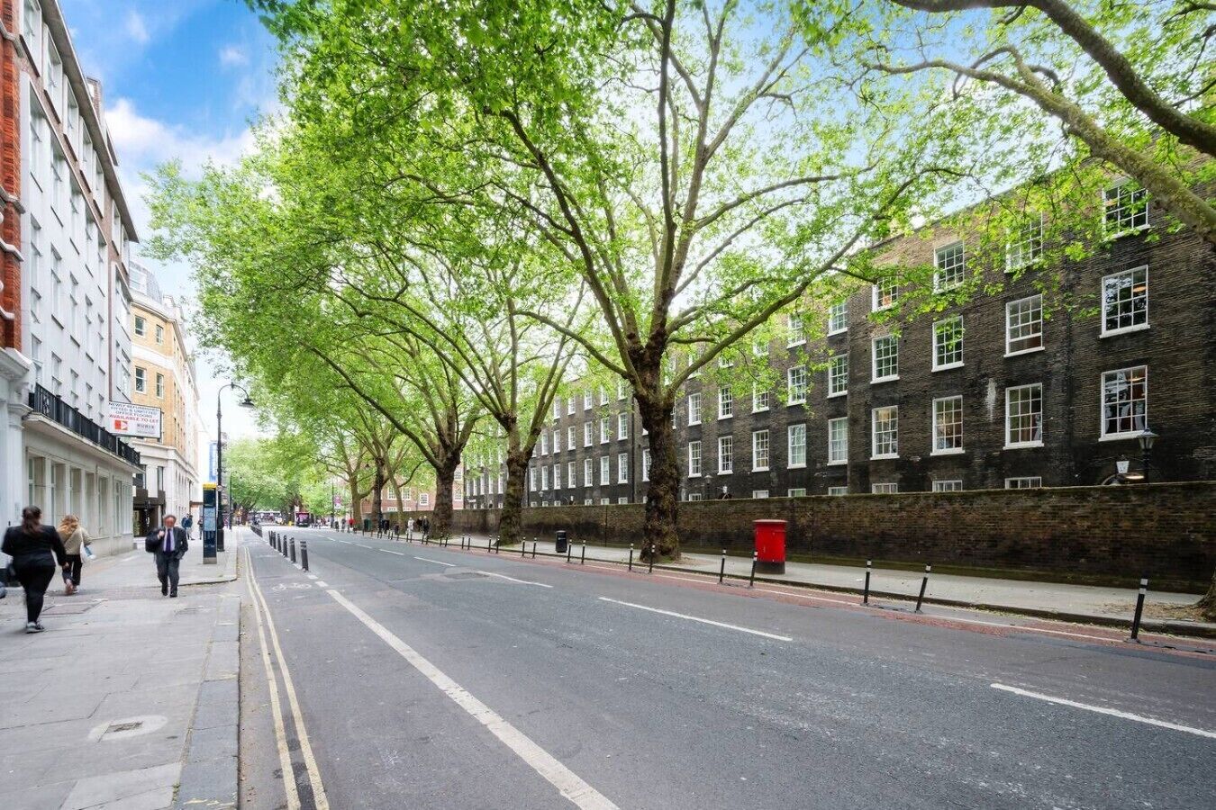 A tree-lined street with buildings on either side.