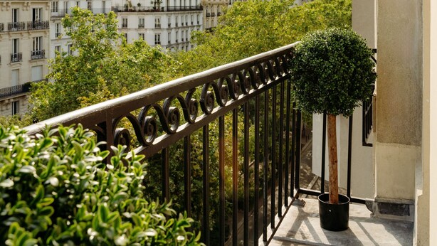 Ein Balkon mit Blick auf Pariser Gebäude, einem Blumentopf mit Baum und einem Metallgeländer.