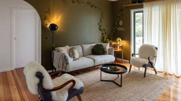 TV, fireplace, books