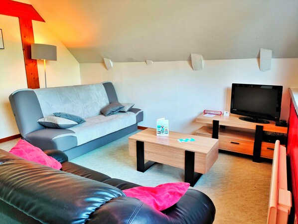 Televisión y libros 