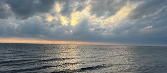 WHALE'S TAIL COTTAGE: Newly renovated cozy cottage 1.5 block walk to the beach !