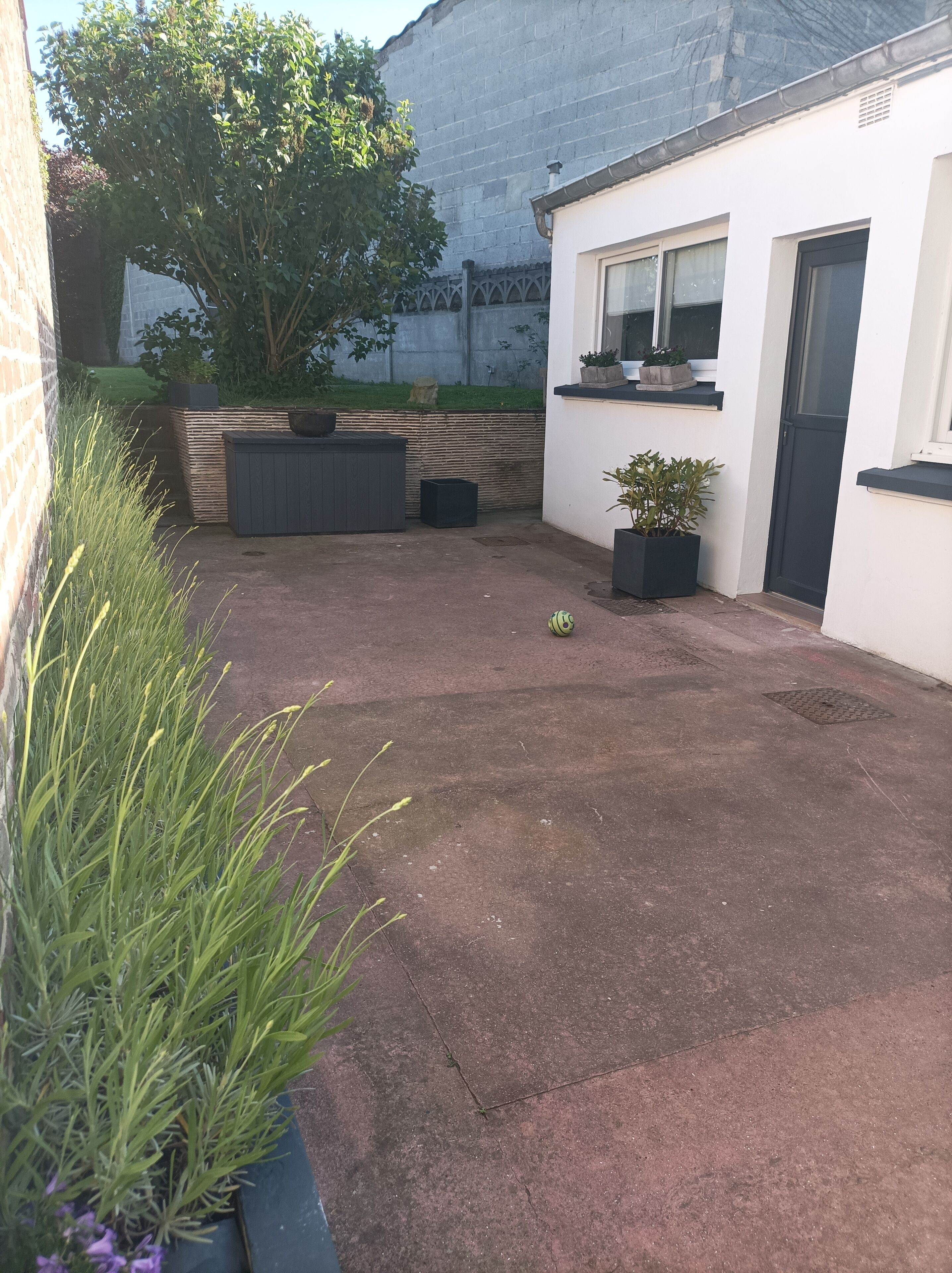 A courtyard with a concrete floor, potted plants, a brick wall, and a white building with windows and a door.