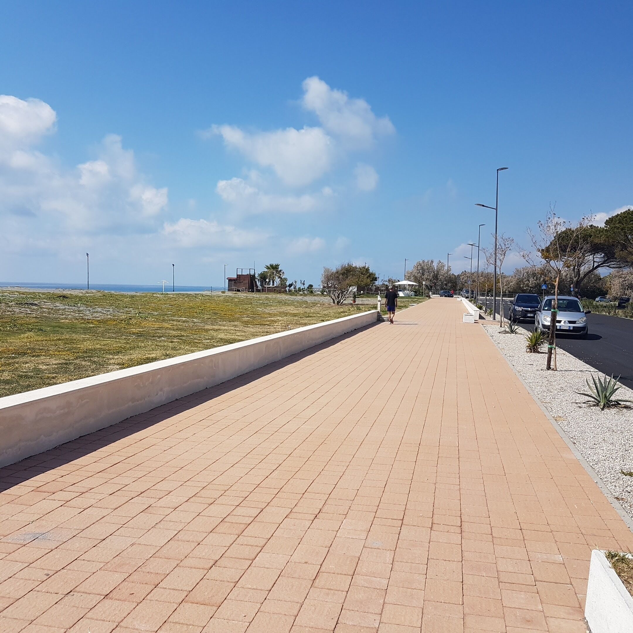 Un sendero pavimentado a lo largo de la costa, con cielo despejado, algunos árboles y coches estacionados.