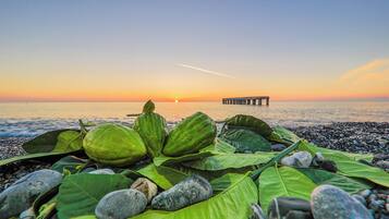 Een strand met grote groene bladeren en kiezelstenen, een pier in de verte, en een zonsondergang.