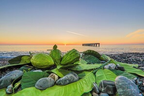 Une plage avec de grandes feuilles vertes et des galets, une jetée au loin et un coucher de soleil.