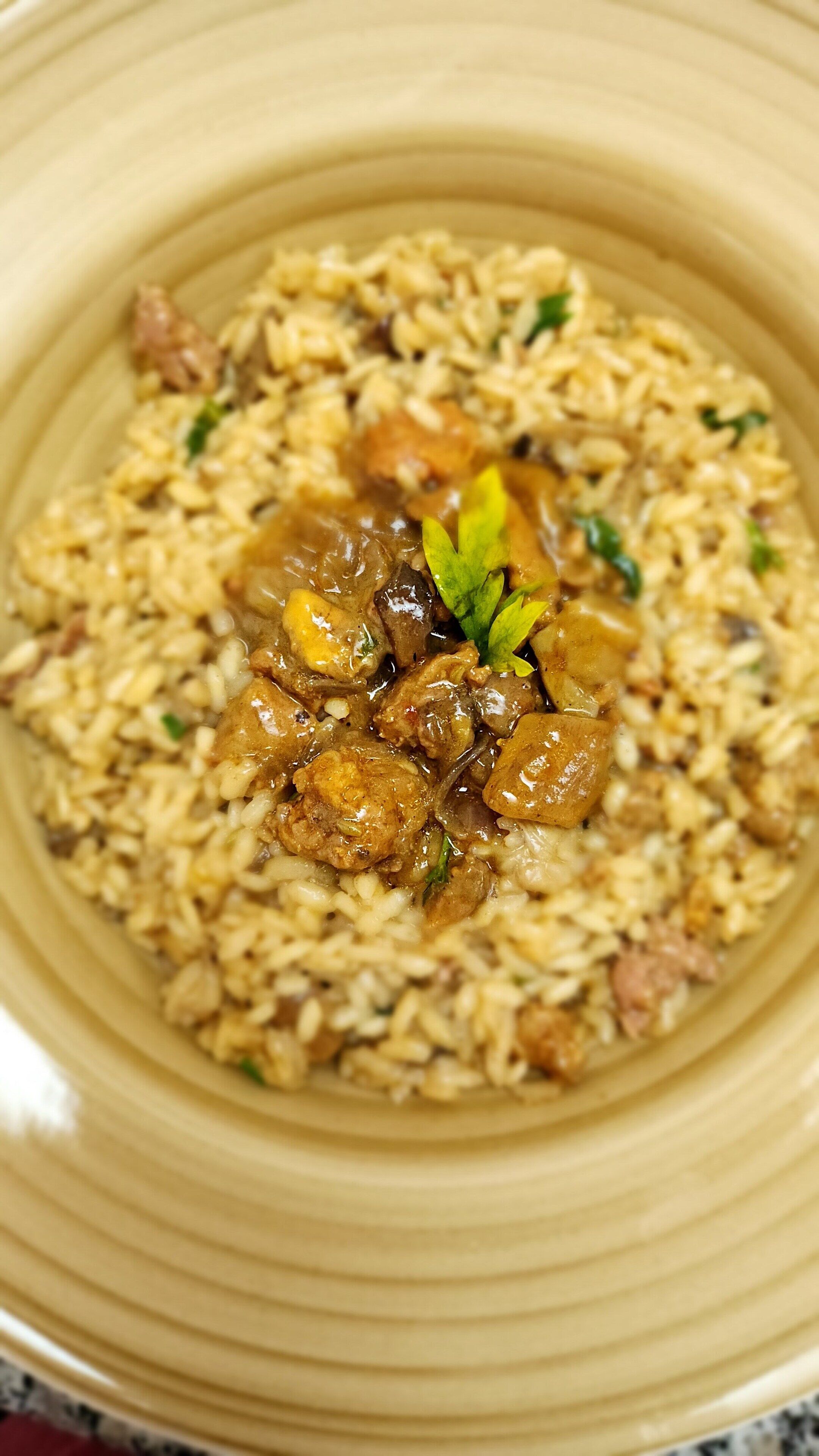 Un tazón de arroz con carne y verduras.