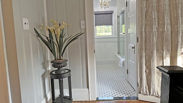 Un pasillo con una planta en maceta, un candelabro y una puerta que da al baño.