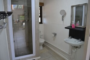 A bathroom with a glass shower enclosure, a toilet, a sink, and a mirror.