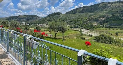 Family - sized villa , pet friendly , city and castle view with a big garden !