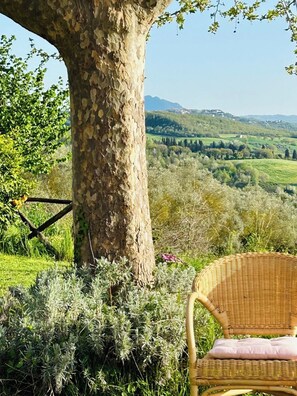 Una sedia in vimini con cuscino, posizionata sotto un albero e affacciata su un paesaggio pittoresco con colline e campi.