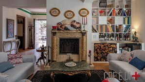 Un salon avec une cheminée, une bibliothèque et deux canapés.