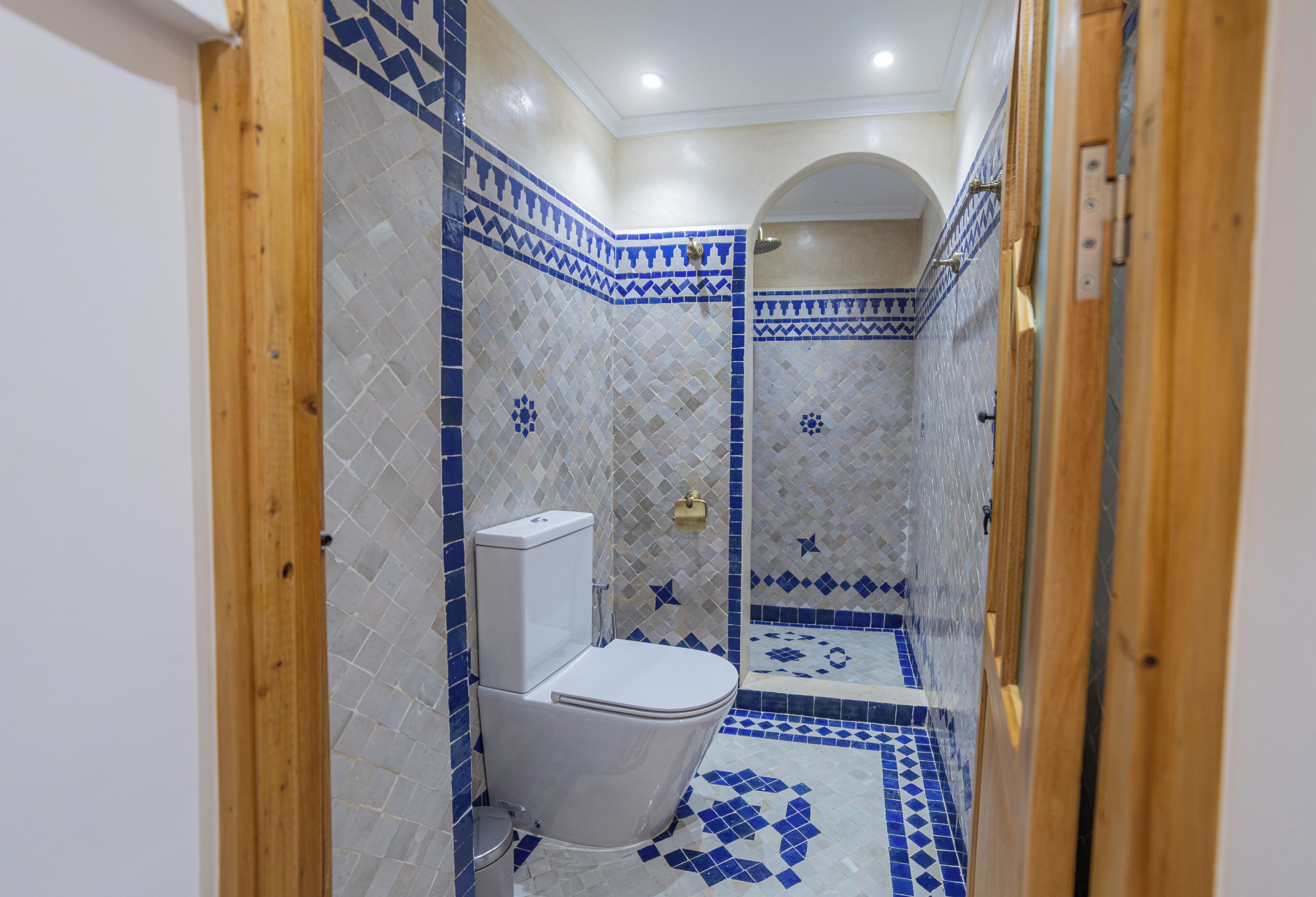 A bathroom with a white toilet, blue and white patterned tiles, and a shower area.