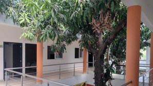 A spacious indoor area with a large tree, metal railings, and several closed doors. - Hotel Centro Valles  (Ciudad Valles)