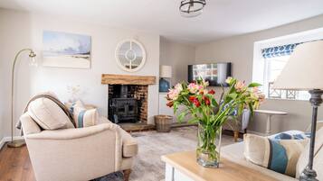 Smart TV, fireplace, DVD player, books