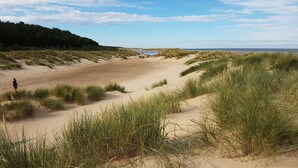 Ein Strand mit Dünen und grasbewachsenen Flächen.