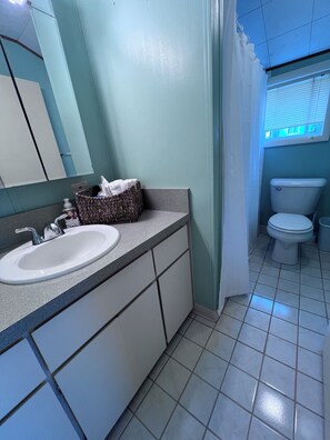Hair dryer, towels, soap, shampoo