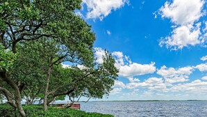 A grassy area with a bench and a tree overlooking a body of water.