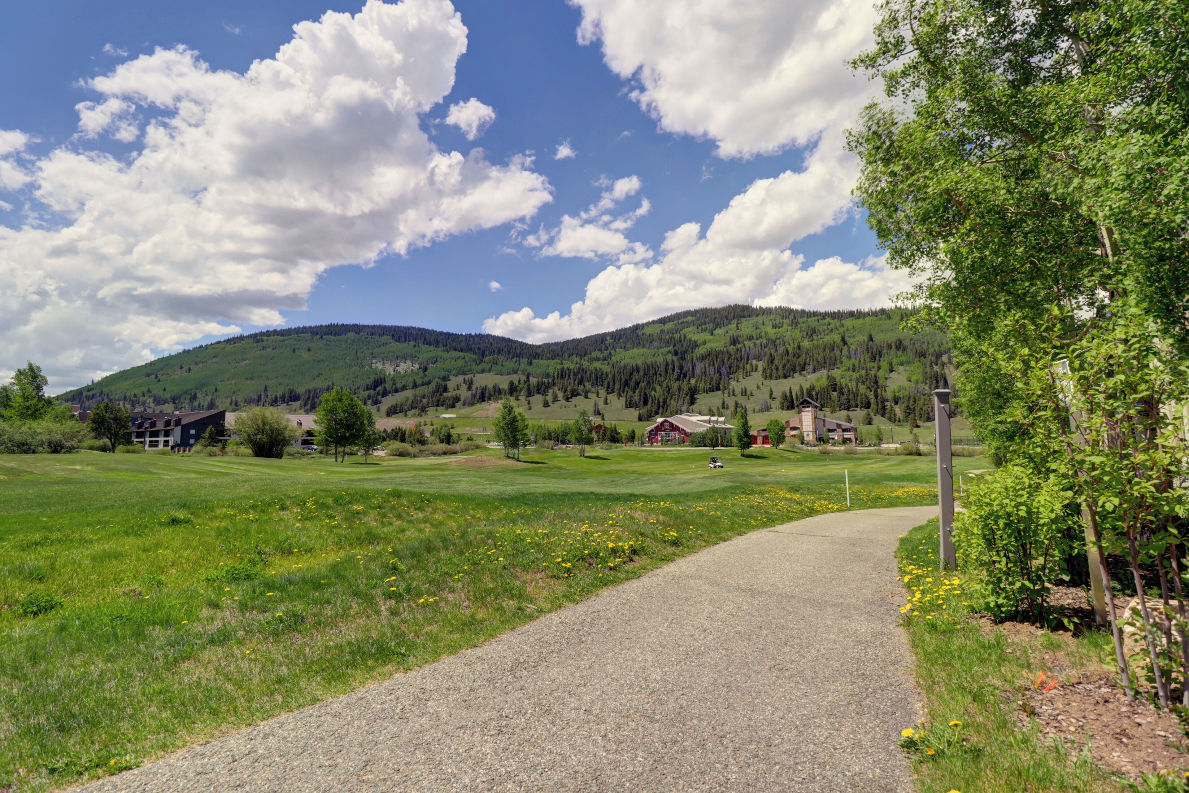 A rural landscape with a gravel path leading through a green field, a red barn, and a mountain in the background.