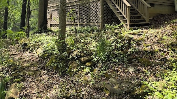 A cabin with a wooden exterior, a front door, and a staircase leading to a porch. - Godin's Get A Way,  Creekside cabin, Relax in Murphy, NC.  Close to everywhere! (Murphy)