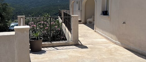 A rooftop terrace with a view of a mountain, a potted plant, and a statue.