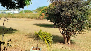 Terrain de l’hébergement 
