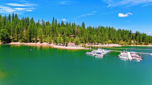 A marina with boats docked, surrounded by dense forest and a clear sky.