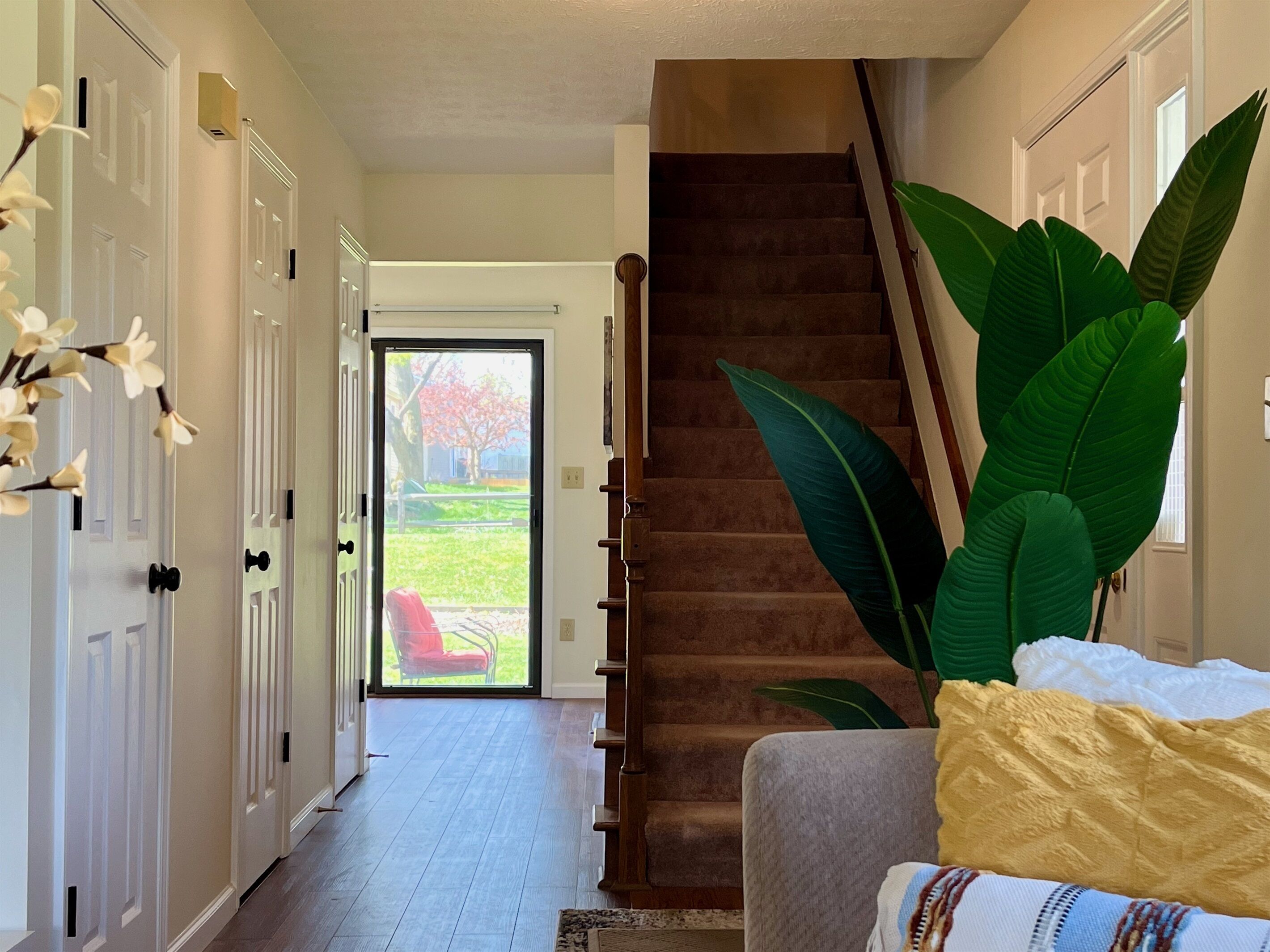 A hallway with a staircase, a door leading outside, and a large plant.