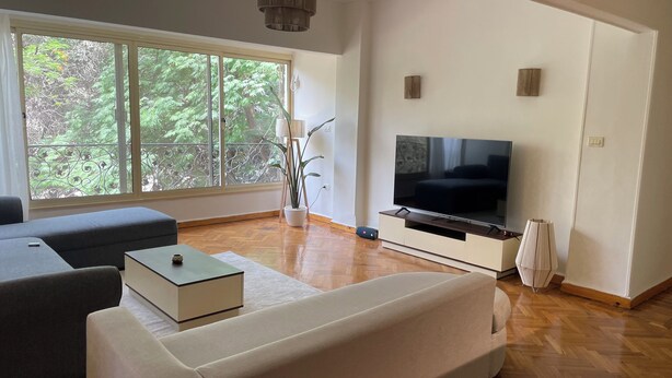 Un salon moderne avec une grande télévision, un canapé, une table basse et une plante en pot.