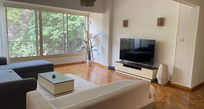 Cozy Apartment with green views of Maadi