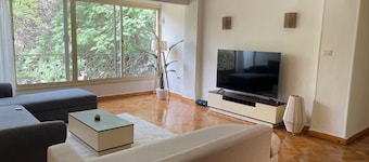 Cozy Apartment with green views of Maadi