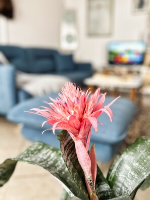 Interior - Sunny one-bedroom apartment. 5 minutes walk from the center. (Tiranë)