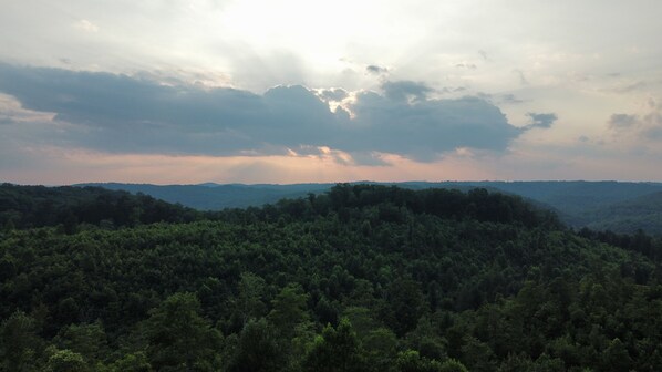A forested landscape with a range of hills in the background.